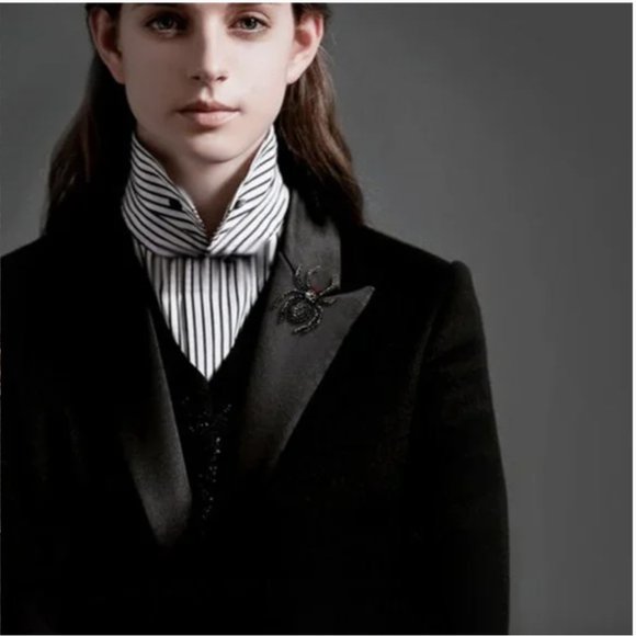 Spider Crystal Rhinestone Brooch - Picture 9 of 16